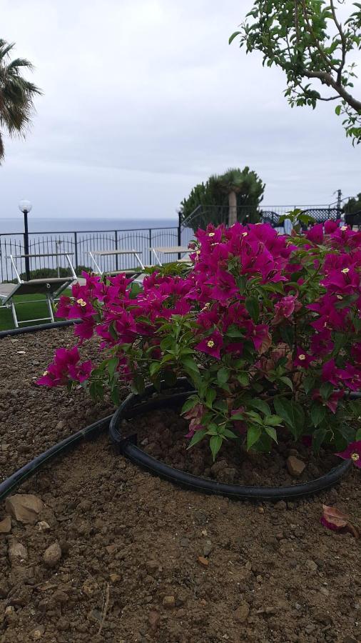 סנרמו Villa Matilde מראה חיצוני תמונה